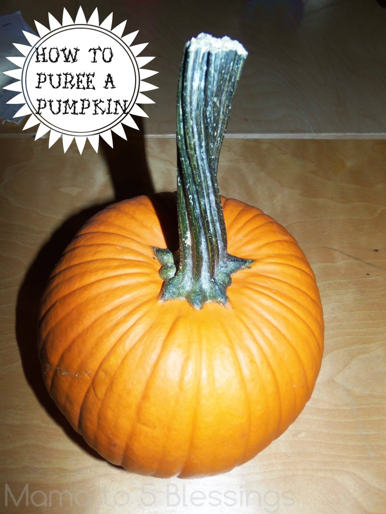 puree pumpkin