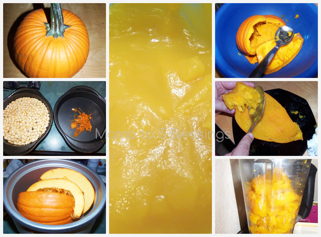 puree pumpkin Collage