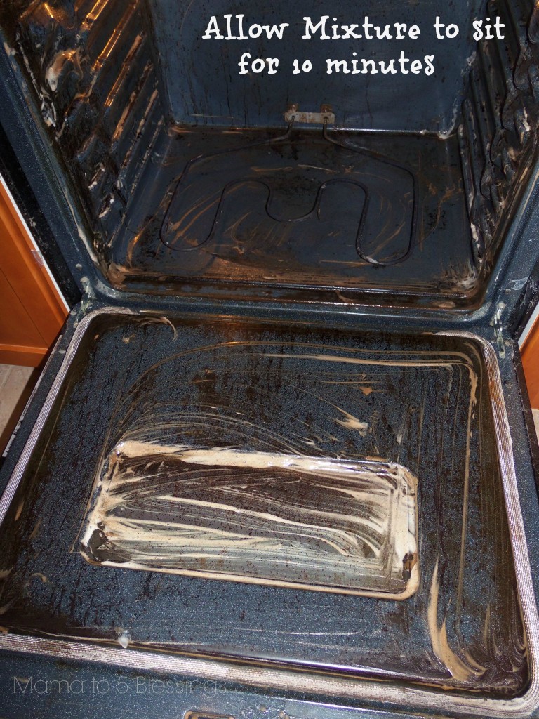 oven cleaner 1