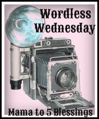 WW camera button