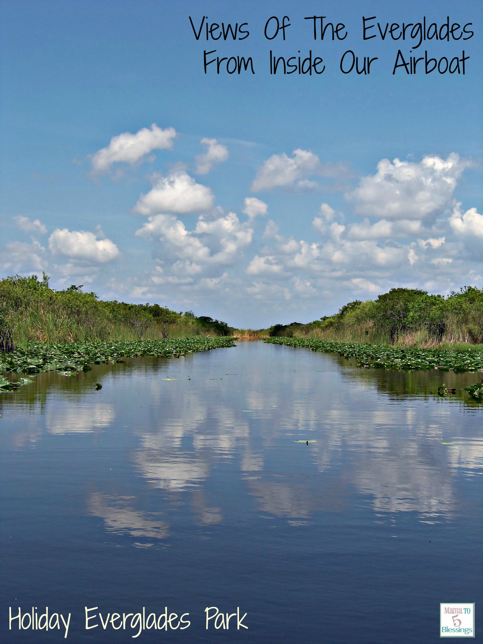 everglades water views CORRECT Mama to 6 Blessings