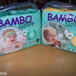 Eco Friendly Disposable Diapers (Bamboo Nature) Review + Giveaway