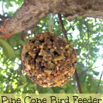 DIY Pine Cone Bird Feeder (Learn & Link With Linky)