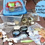 How To Make A Nature Box (Learn & Link)