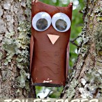 Toilet Paper Tube Owl (Kids Craft) With Linky